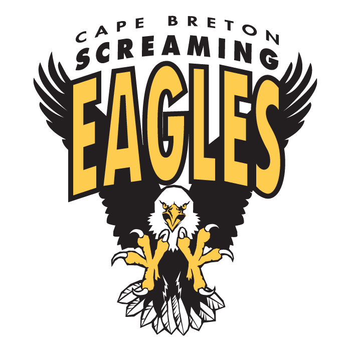 cape breton screaming eagles 1997-pres primary logo iron on transfers for clothing